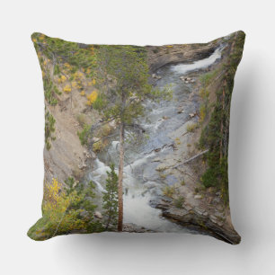 Provo River and aspen trees Cushion