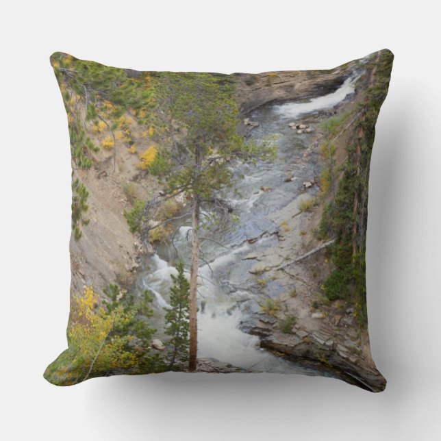 Provo River and aspen trees Cushion (Front)