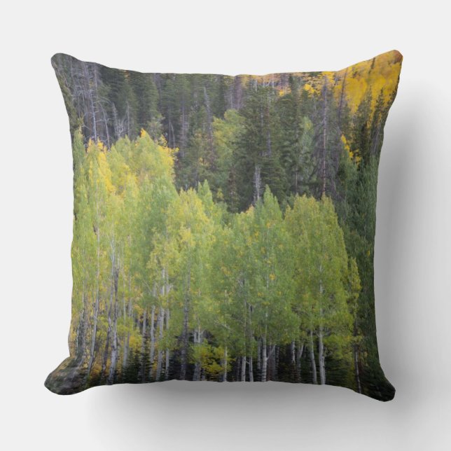 Provo River and aspen trees Cushion (Front)