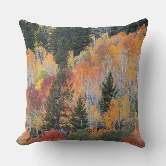 Provo River and aspen trees Cushion (Front)