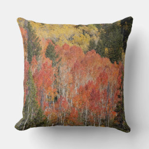 Provo River and aspen trees Cushion