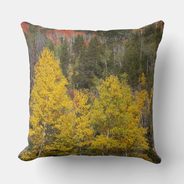Provo River and aspen trees Cushion (Front)