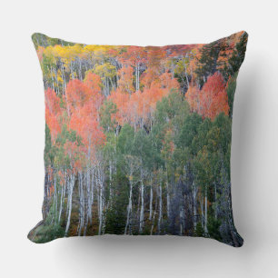 Provo River and aspen trees Cushion