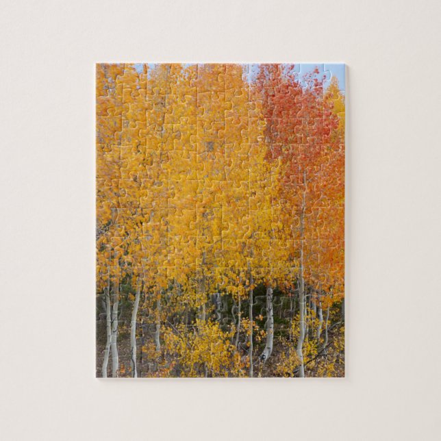 Provo River and aspen trees Jigsaw Puzzle (Vertical)