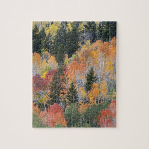 Provo River and aspen trees Jigsaw Puzzle