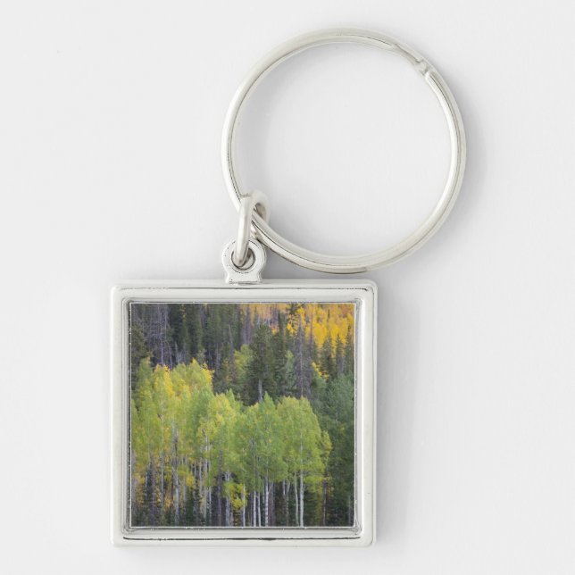 Provo River and aspen trees Key Ring (Front)