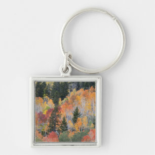 Provo River and aspen trees Key Ring