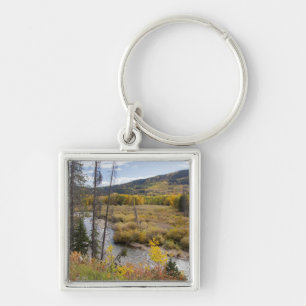 Provo River and aspen trees Key Ring