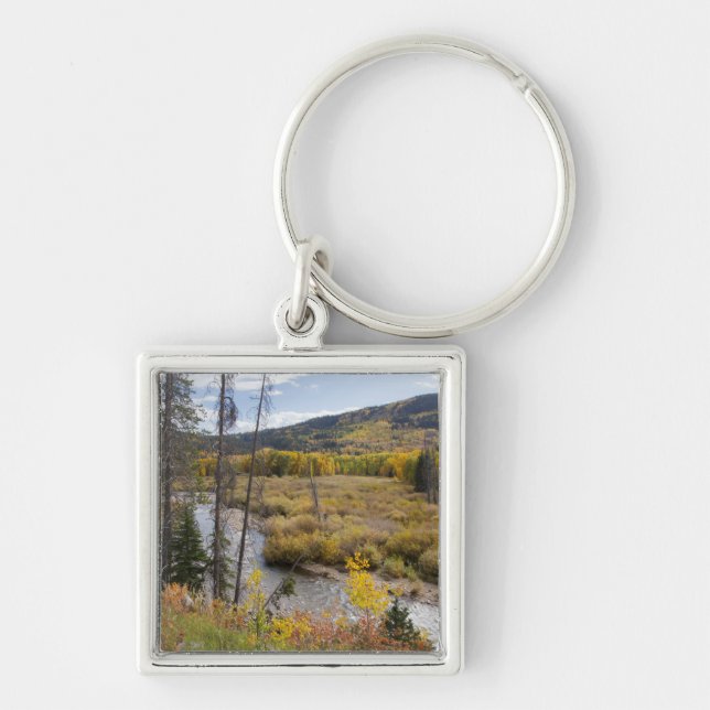 Provo River and aspen trees Key Ring (Front)