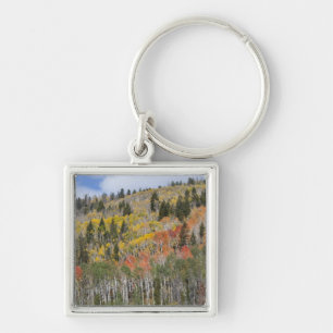 Provo River and aspen trees Key Ring