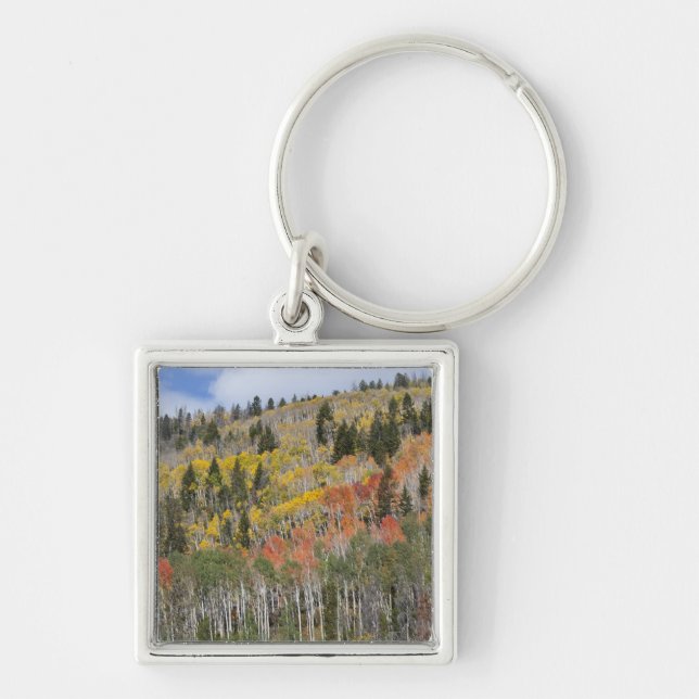 Provo River and aspen trees Key Ring (Front)