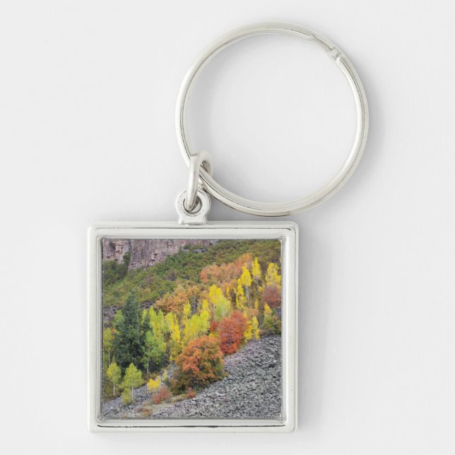 Provo River and aspen trees Key Ring (Front)