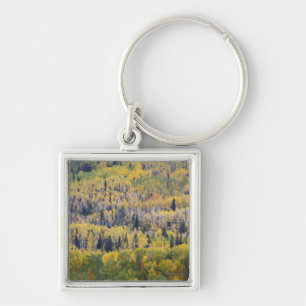Provo River and aspen trees Key Ring