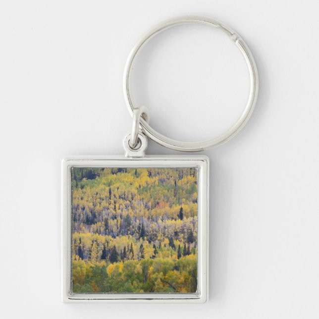 Provo River and aspen trees Key Ring (Front)