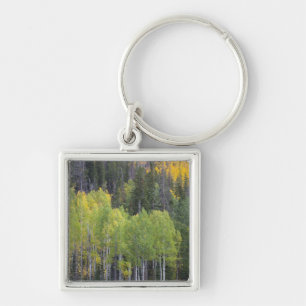 Provo River and aspen trees Key Ring