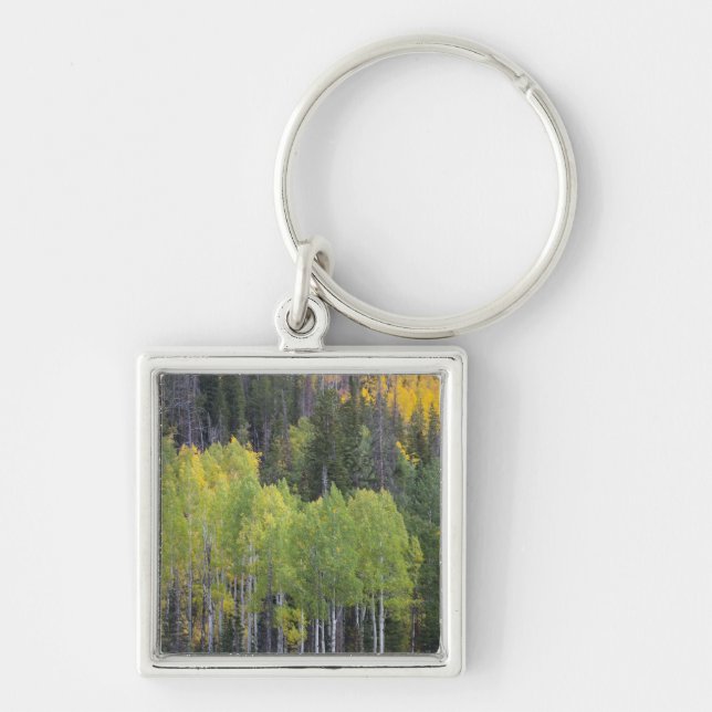 Provo River and aspen trees Key Ring (Front)