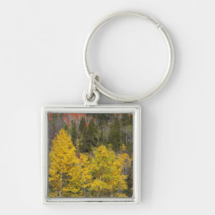 Provo River and aspen trees Key Ring