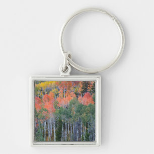 Provo River and aspen trees Key Ring