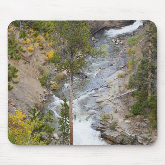 Provo River and aspen trees Mouse Pad (Front)