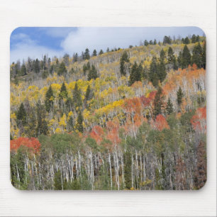 Provo River and aspen trees Mouse Pad
