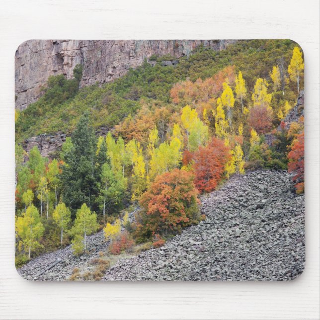 Provo River and aspen trees Mouse Pad (Front)