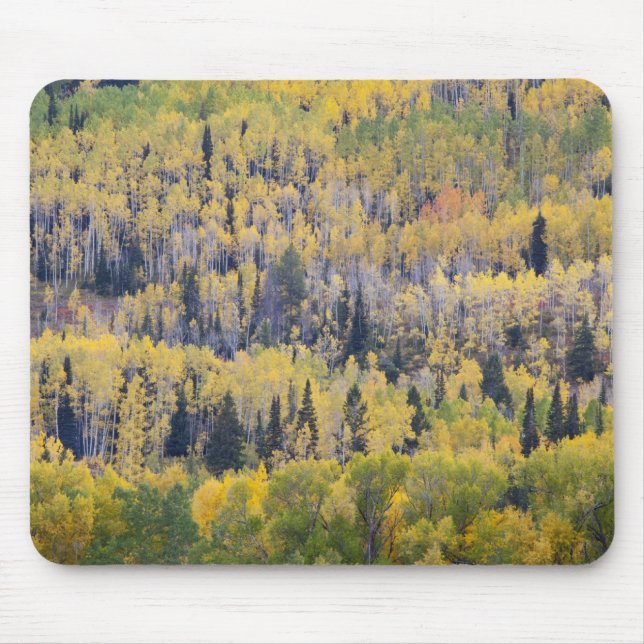 Provo River and aspen trees Mouse Pad (Front)