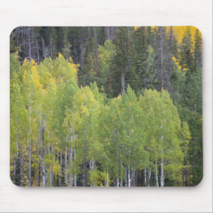 Provo River and aspen trees Mouse Pad