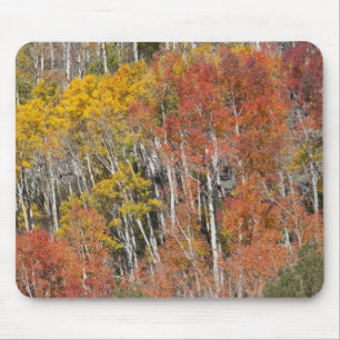 Provo River and aspen trees Mouse Pad