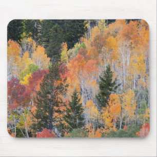 Provo River and aspen trees Mouse Pad
