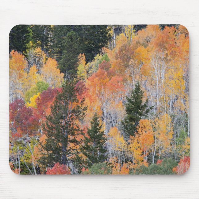 Provo River and aspen trees Mouse Pad (Front)
