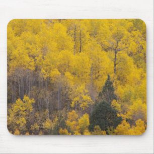 Provo River and aspen trees Mouse Pad