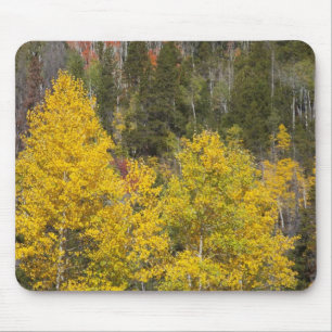 Provo River and aspen trees Mouse Pad