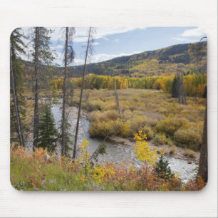 Provo River and aspen trees Mouse Pad