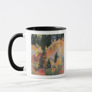 Provo River and aspen trees Mug