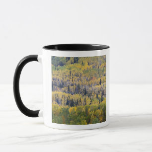 Provo River and aspen trees Mug