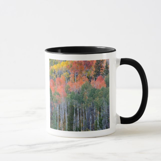 Provo River and aspen trees Mug (Right)