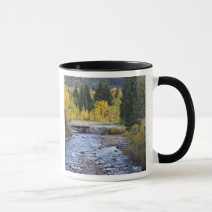 Provo River and aspen trees Mug