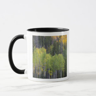 Provo River and aspen trees Mug