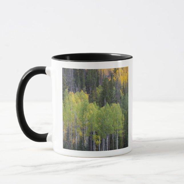 Provo River and aspen trees Mug (Left)