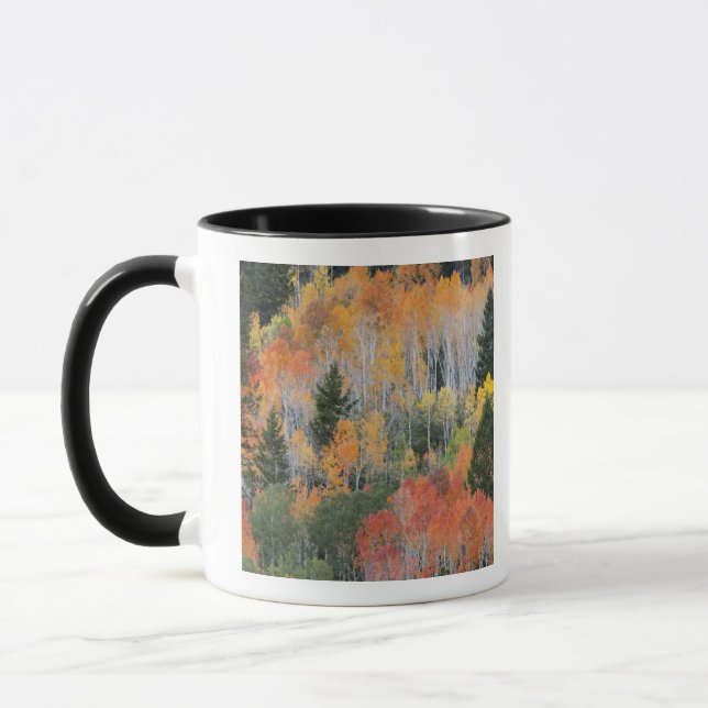 Provo River and aspen trees Mug (Left)