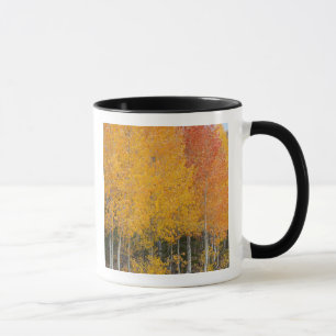Provo River and aspen trees Mug
