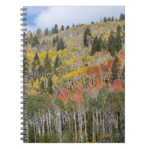 Provo River and aspen trees Notebook