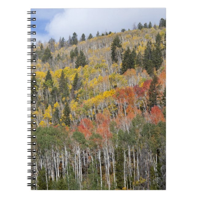 Provo River and aspen trees Notebook (Front)
