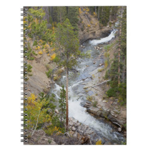 Provo River and aspen trees Notebook