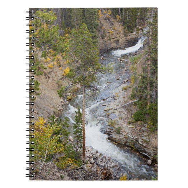 Provo River and aspen trees Notebook (Front)