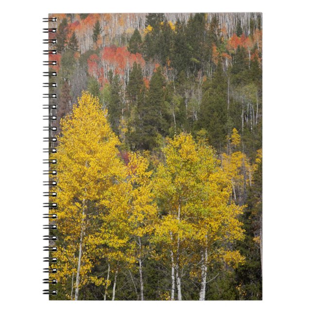Provo River and aspen trees Notebook (Front)