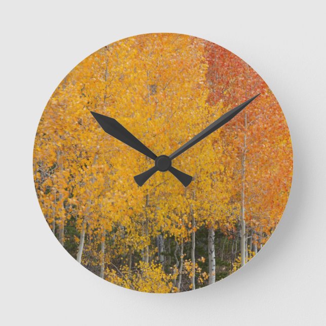 Provo River and aspen trees Round Clock (Front)