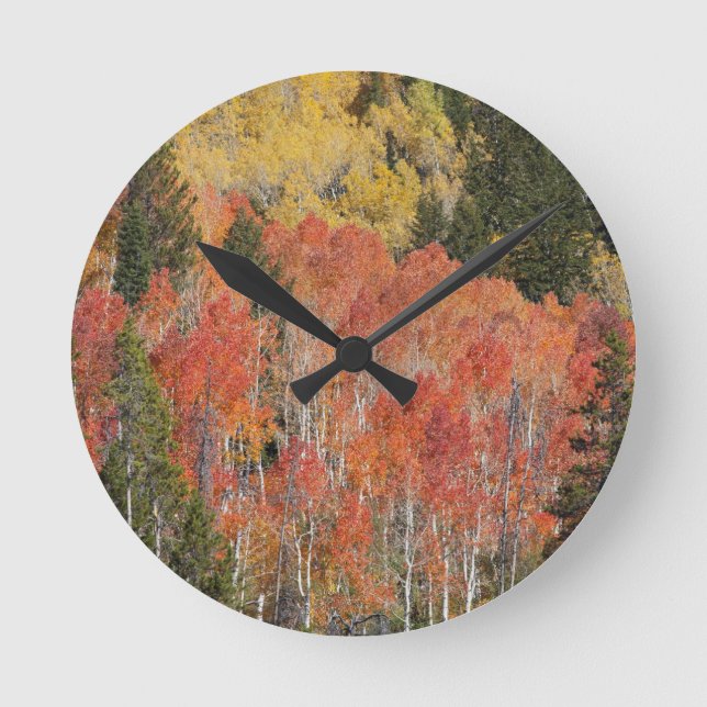 Provo River and aspen trees Round Clock (Front)