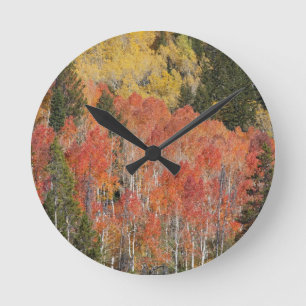 Provo River and aspen trees Round Clock