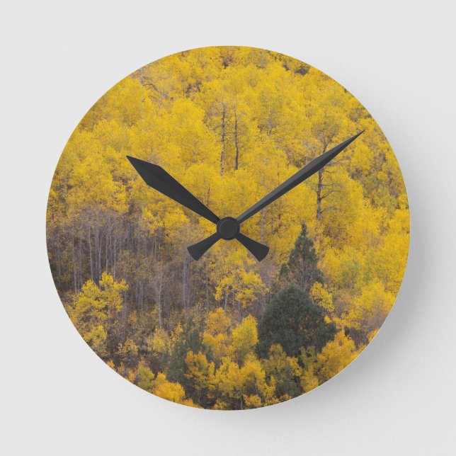 Provo River and aspen trees Round Clock (Front)